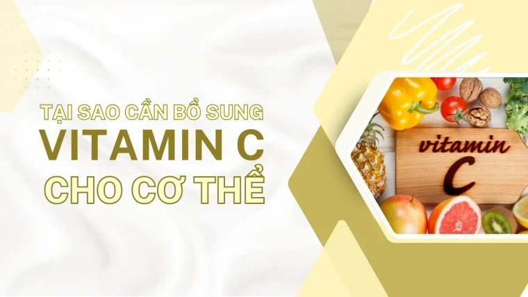 Tại sao cần bổ sung vitamin C cho cơ thể