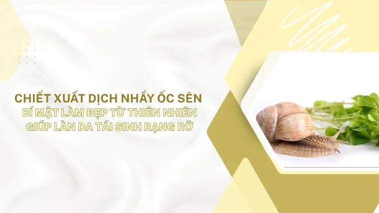Dịch nhầy ốc sên