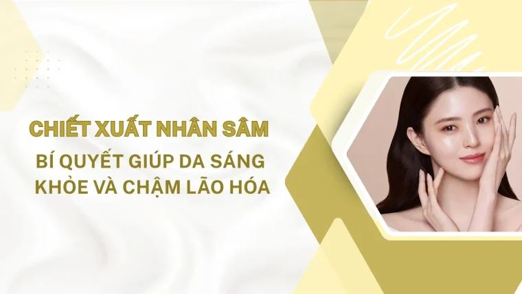 Chiết xuất nhân sâm