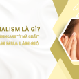 SKINIMALISM