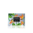 Demejine Perfect Whitening Body Cream(2)---